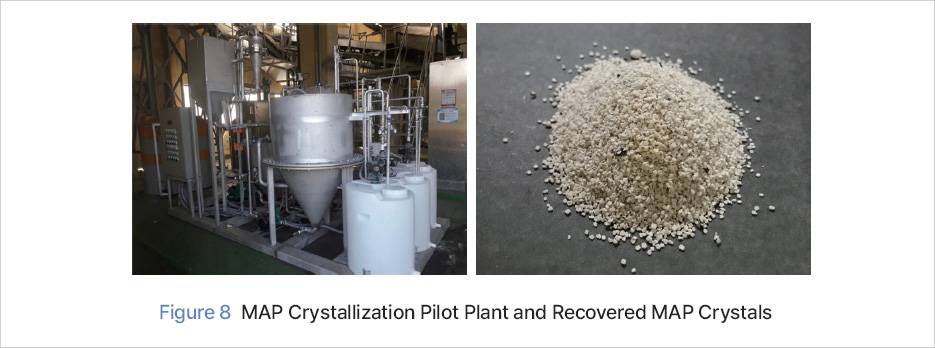 Figure 8 MAP Crystallization Pilot Plant and Recovered MAP Crystals