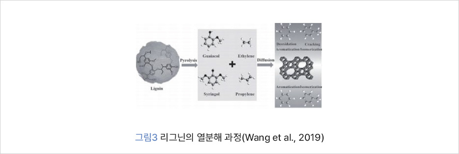 그림 3 리그닌의 열분해 과정(Wang et al., 2019)