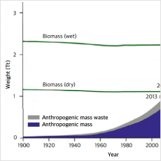 Development of Sustainable Construction and Environmental Infrastructure Technology Using Renewable Biomass