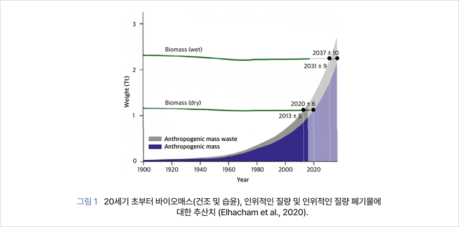 그림1 20세기 초부터 바이오매스(건조 및 습윤), 인위적인 질량 및 인위적인 질량 폐기물에 대한 추산치(Elhacham et al., 2020).