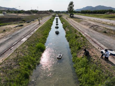Leading-Edge Model Predicts Impact of River Plants on Flood Level 
